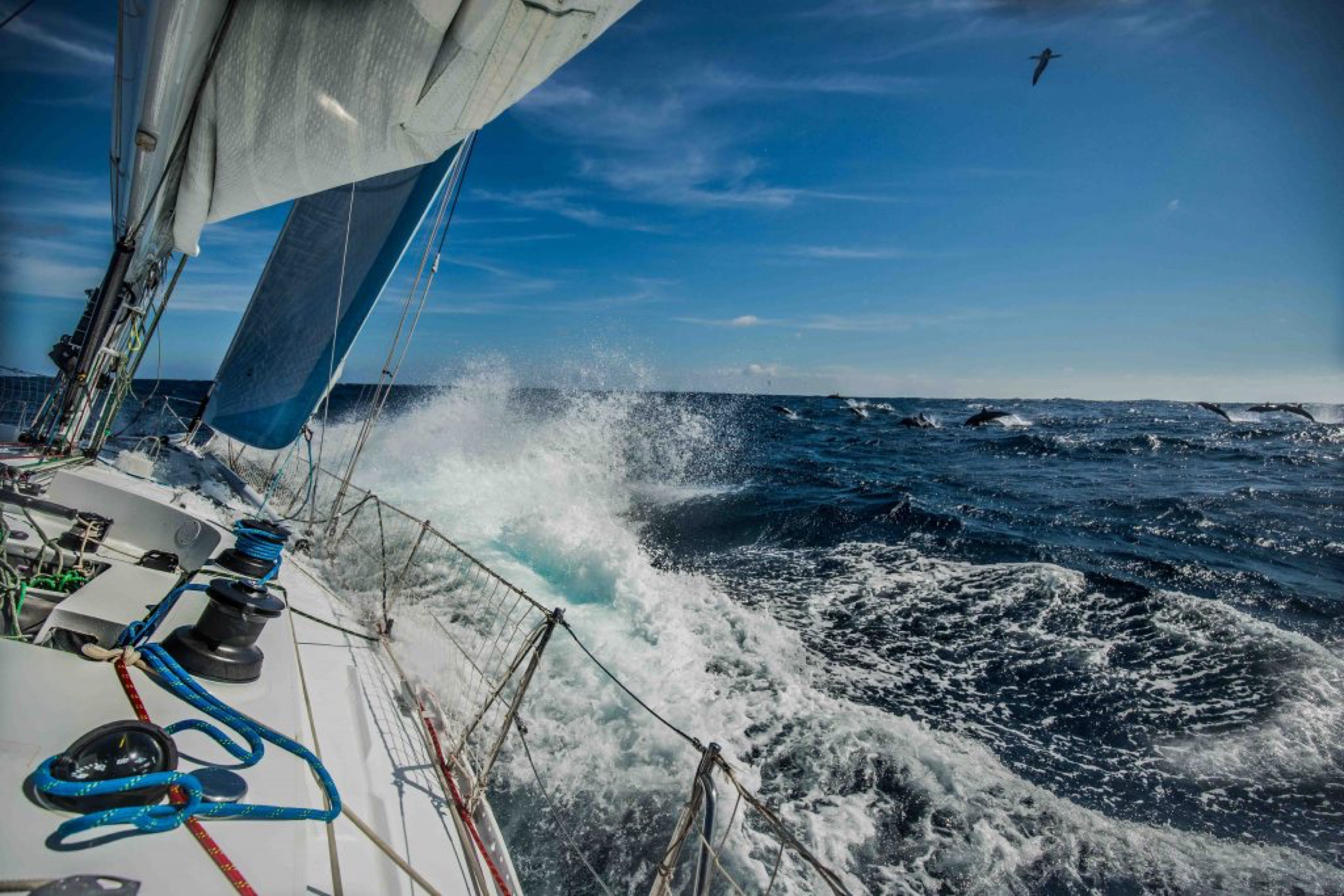 Offshore sailing portfolio scene by Amalia Infante - Maiden